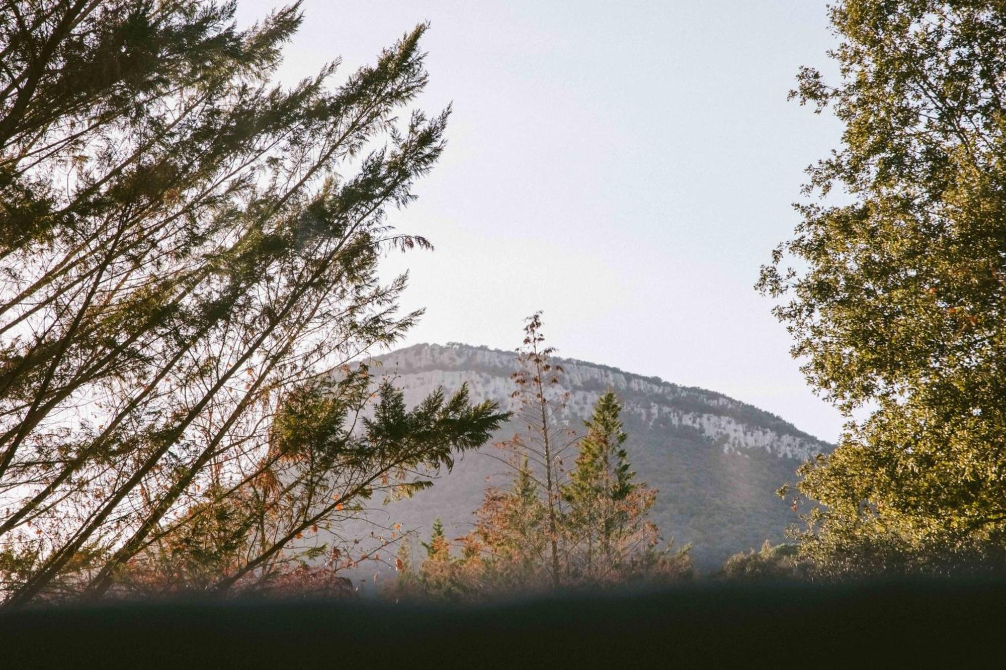 Caseta Wald By Tiny Away Las Serras Экстерьер фото
